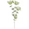 12 Pack: Light Green Queen Anne's Lace Spray by Ashland®